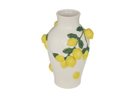 Vaas Citroen H32,6 - dolomoiet - multicolor