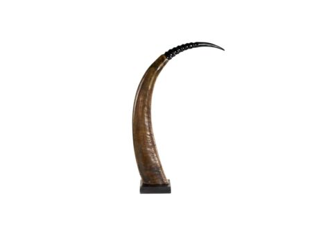 Hoorn op hout H65cm
