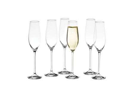 Champagneglas Cuvee 21cl, set van 6