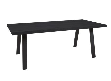 Tafel Raphael 170x100cm - melamine - NOX