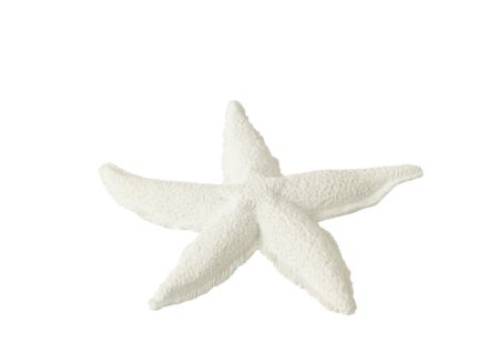 Deco Zeester Ø20cm - polystone - wit