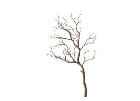 Decoratietak Drift Wood H93cm