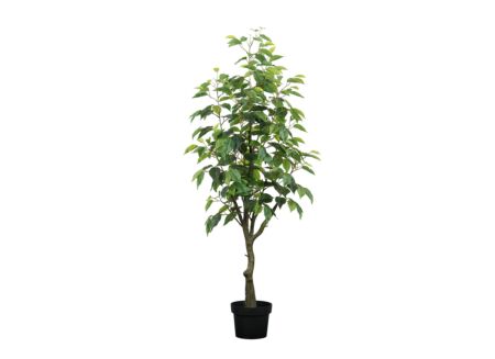 Kunstplant Ficus H120cm