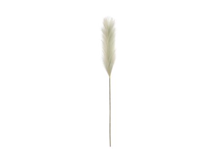 Decoratietak Pluimgras H104cm