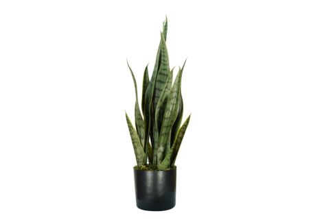 Kunstplant Sansevieria
 H58cm