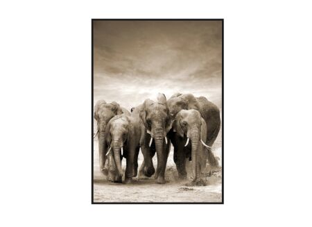 Print op canvas Etosha 80x120cm