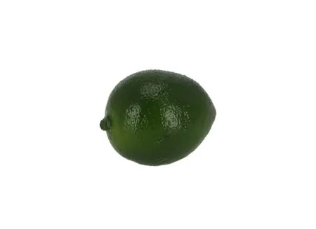 Deco Limoen Ø5 - Déco Limon Ø5,5cm