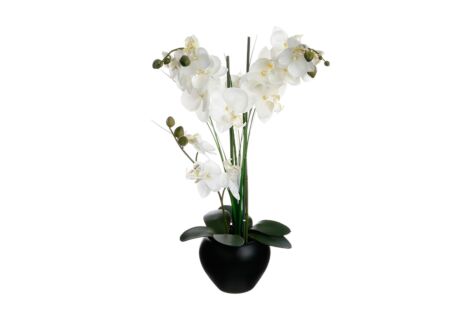 Kunstbloem Orchidee H53cm