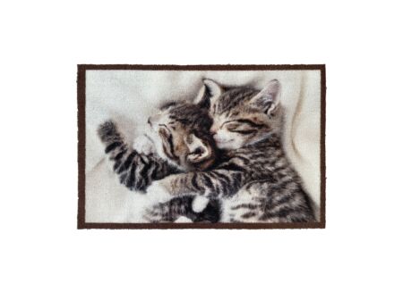 Deurmat Atrium Cuddle Kittens 60x40cm nylon multicolor
