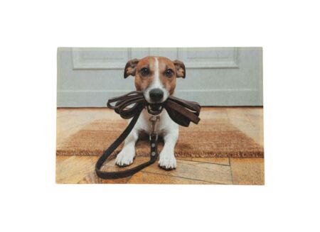 Deurmat Jack Russel 75x50cm - polyester - multicolor
