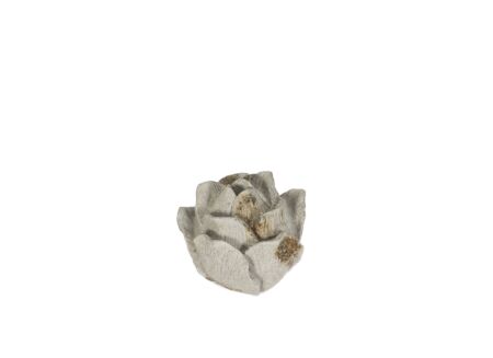 Deco Rosae Ø14,5cm