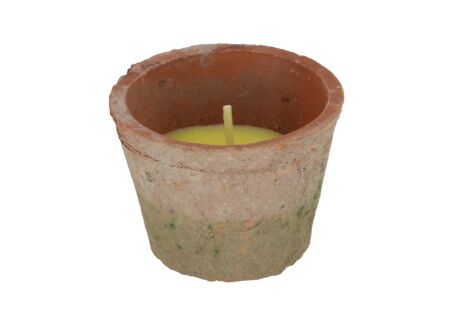 Tuinkaars Citronella  H6,5cm - aged teracotta - steen