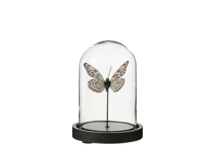 Stolp Vlinder H16cm - glas - zwart & transparant