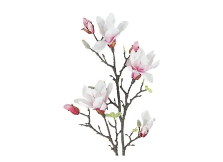 Detailfoto - Kunstbloem Magnolia H101cm