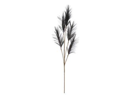 Decoratietak Pluimgras H98cm