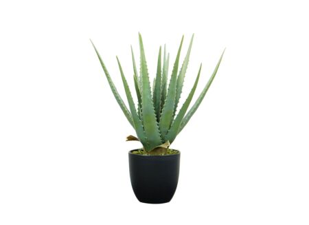 Kunstplant Aloe H46cm
