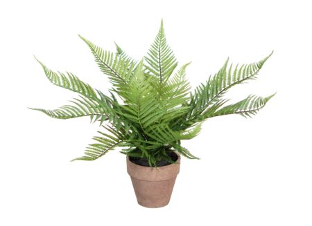 Kunstplant Varens H40cm
