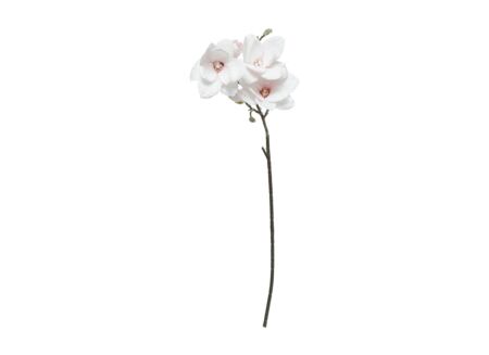 Decoratietak Magnolia H88cm polyester roze
