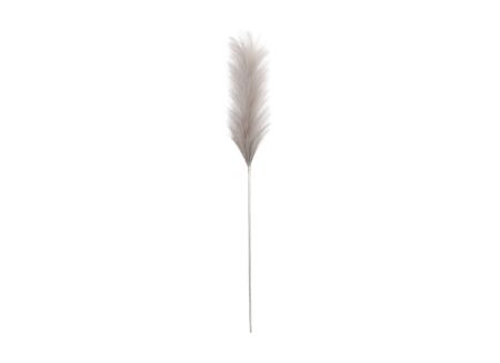 Decoratietak Pluimgras H104cm