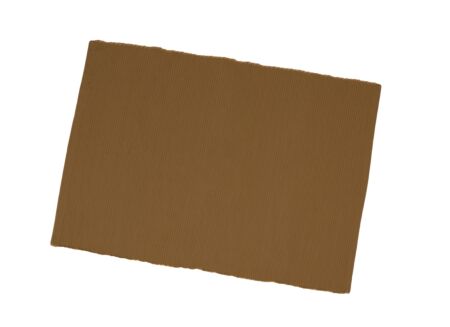 Placemat Badu 33x46cm goud bruin