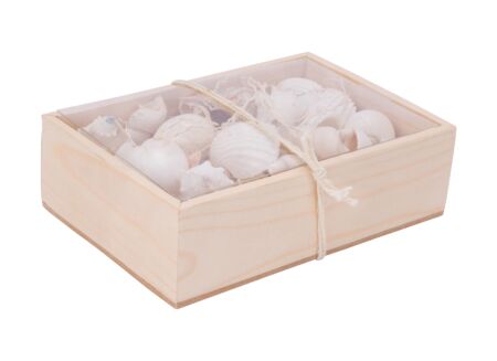 Déco Sea shell 18x12x6cm - coquillage - blanc