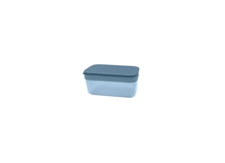 Ijsblokjesvorm 22,2x12cm - kunststof - blauw