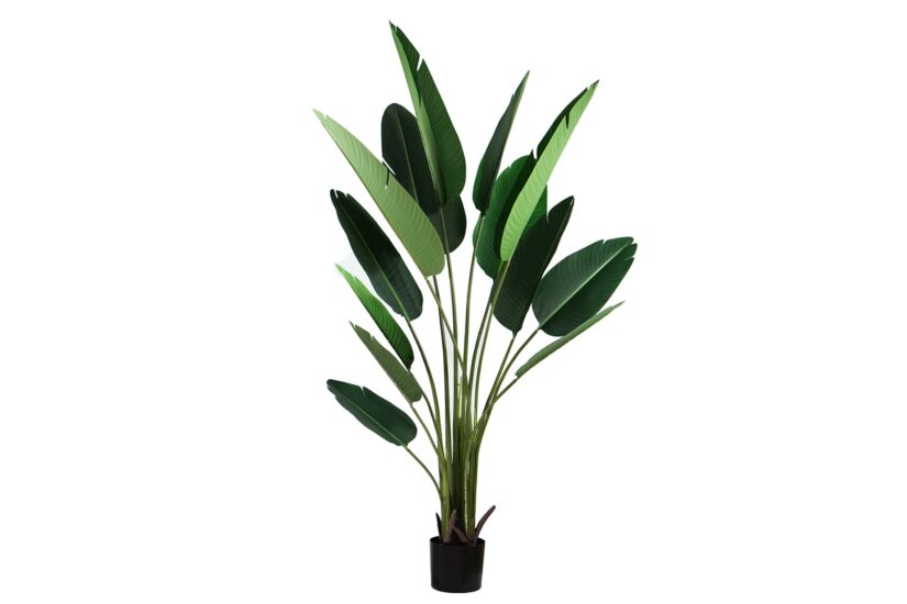 Kunstplant Paradise H210cm