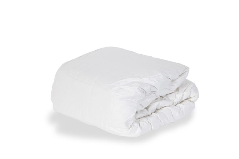 Donsdeken Auster 260x220cm