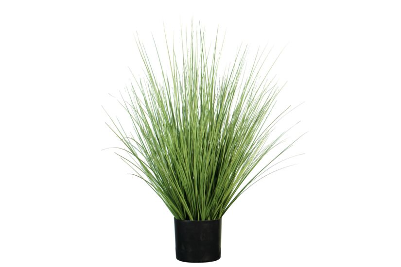 Kunstplant Kraailook H74cm