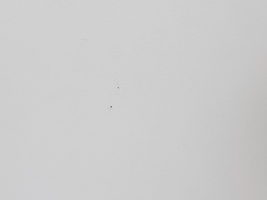 &Eacute;chantillon Gris soie 